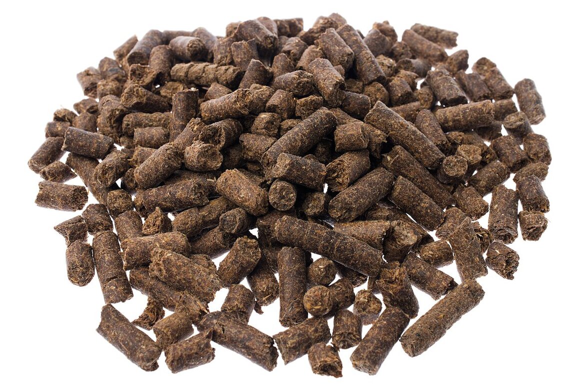 Getreideschlempe pelletiert