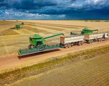 Sojaernte in Brasilien
