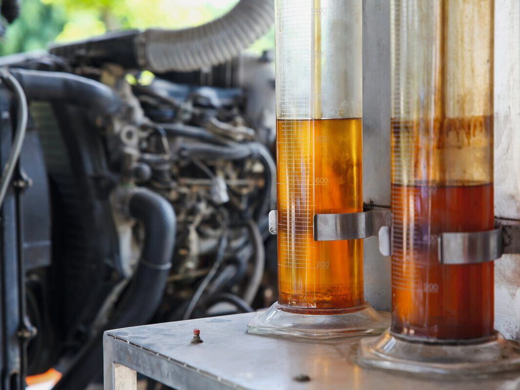 Biodiesel. Vier große Player