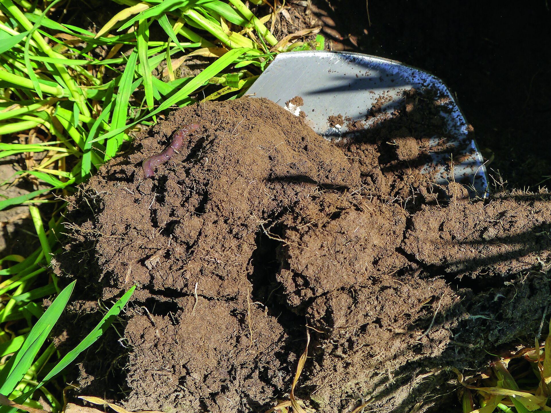 Regenerative Landwirtschaft. Die neue Richtschnur?