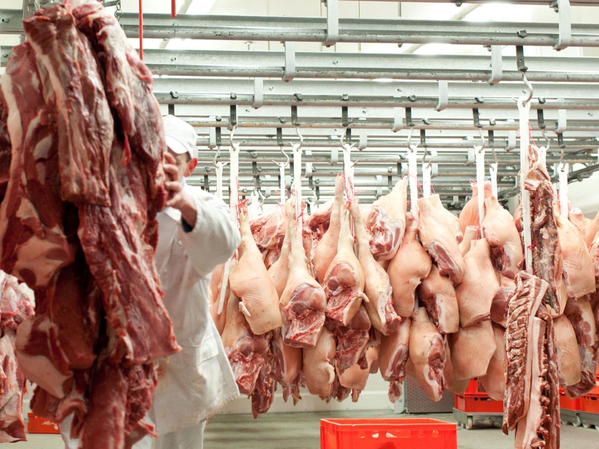 Schweine: Schlachtzahlen sinken um 7 Prozent 