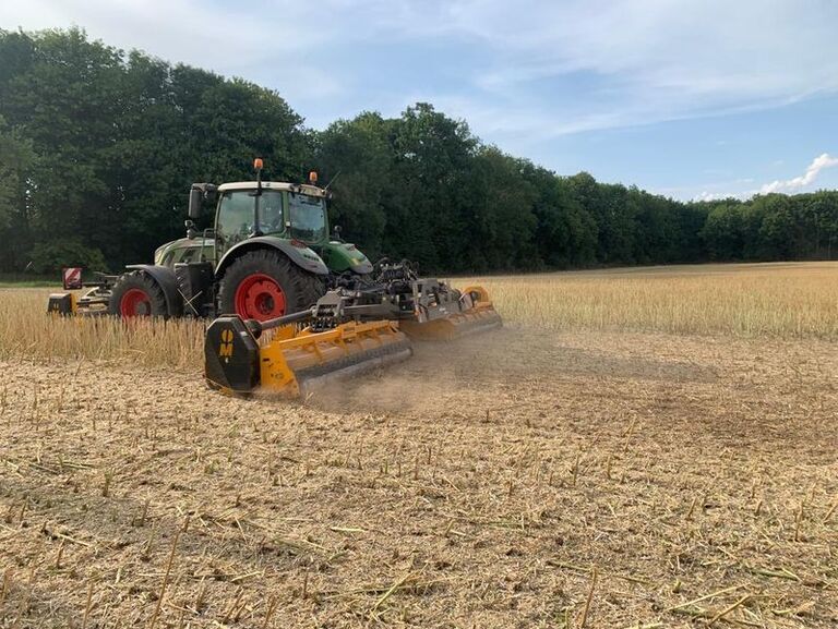 Blick ins Feld. Hinweise zur Stoppelbearbeitung nach Raps