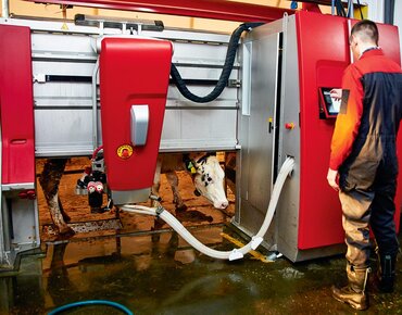 Ein Mann steht am Melkroboter