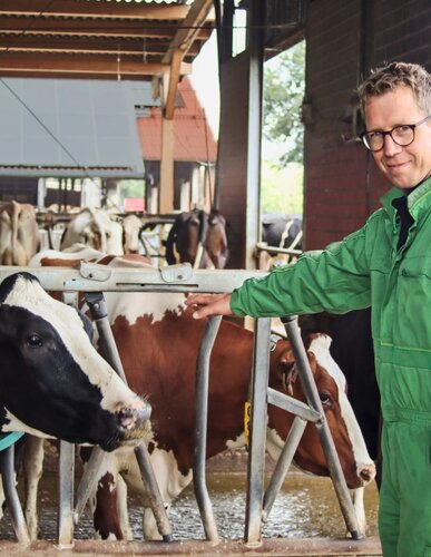 Ein Landwirt steht im Kuhstall auf dem Futtergang und streckt die Hand in Richtung einer Kuh