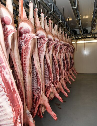 Schweinehälften im Schlachthof
