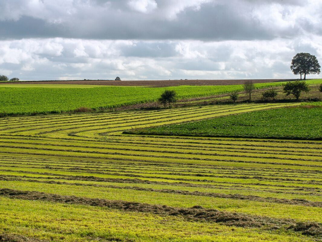 Klimaneutrale Milch. Ein steiniger Weg 