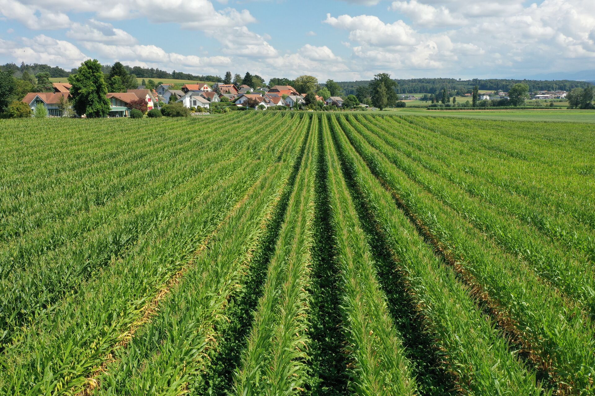 Staffelanbau