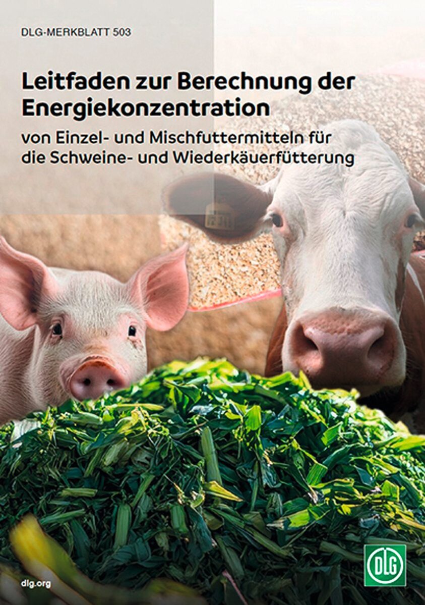 Deckblatt DLG Leitfaden Energiekonzentration