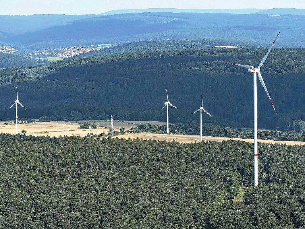 Geschäftsfelder. Wald hat nicht  nur Holz zu bieten