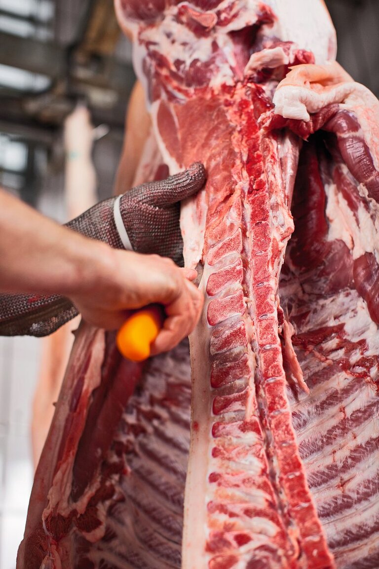 Schweinehälfte wird im Schlachthof zerlegt