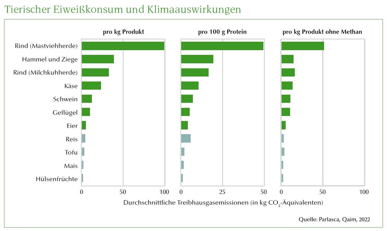 Grafik Tierischer Eiweißkonsum und Klimaauswirkungen