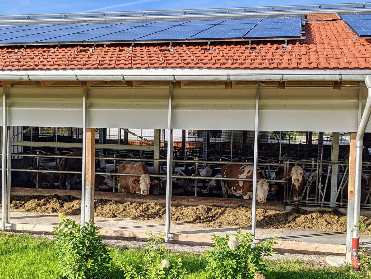 Online-Konferenz. Energiemanagement am Hof