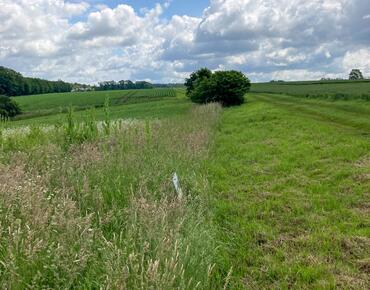Landschaftsaufnahme Biodiversitätsmaßnahmen
