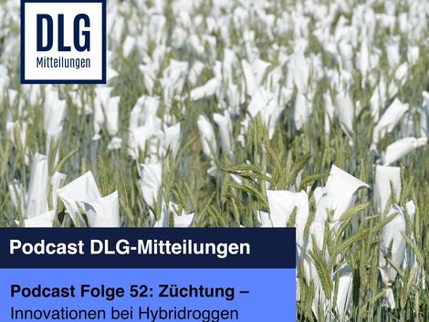 Züchtung. Innovationen bei Hybridroggen