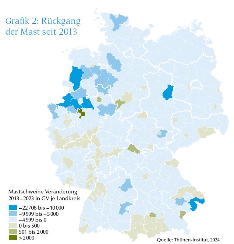 Grafik Rückgang Schweinemastbetriebe