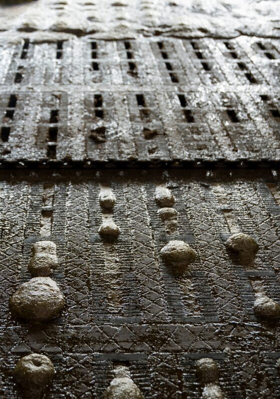 Spaltenboden im Kuhstall, die Gülle bildet Blasen