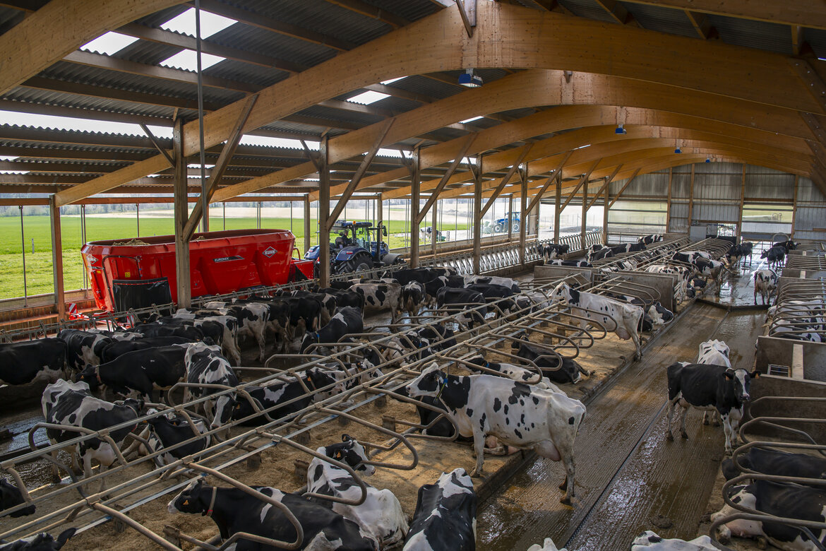 Milchviehstall