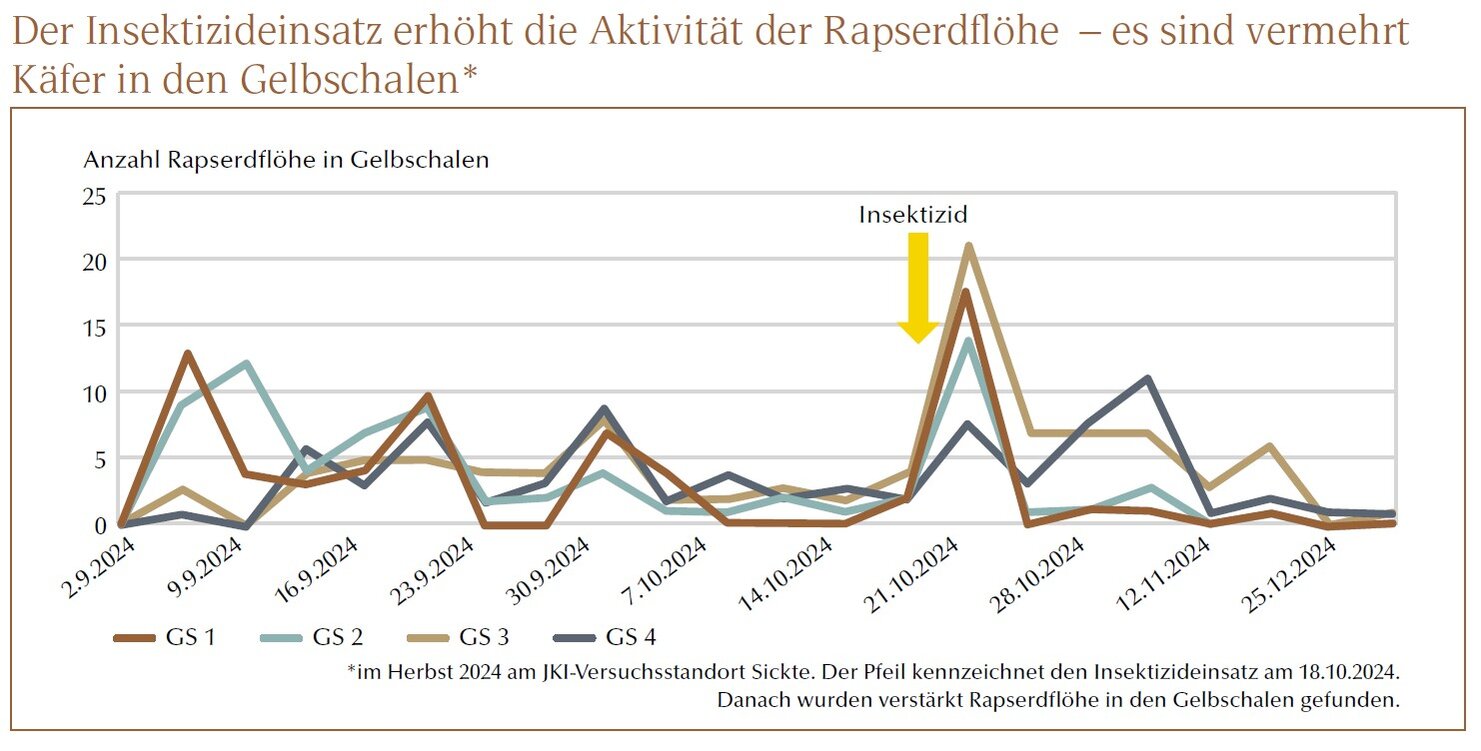 Grafik Insektizideinsatz erhöht die Aktivität der Rapserdflöhe