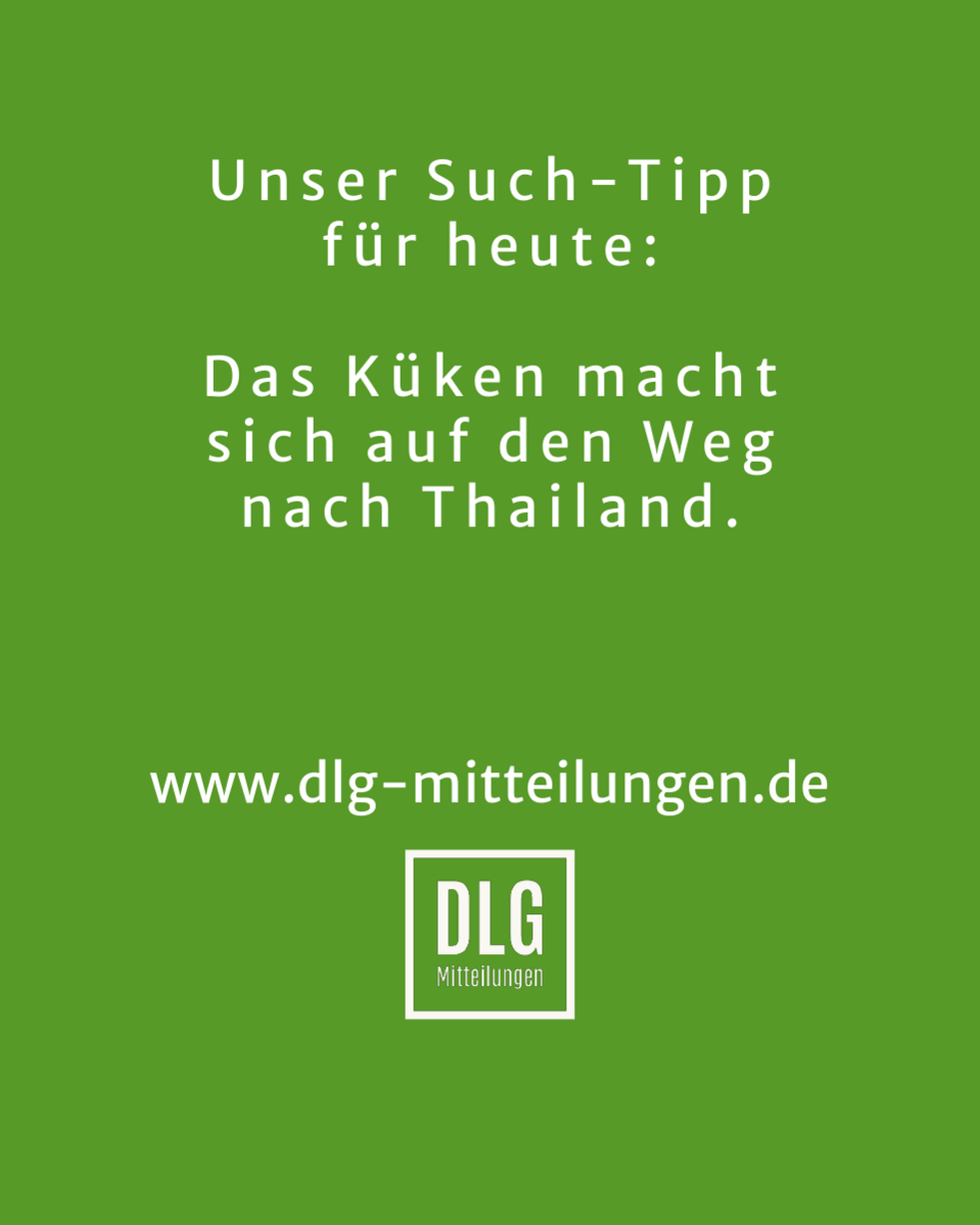 Tipp Ostergewinnspiel New Holland