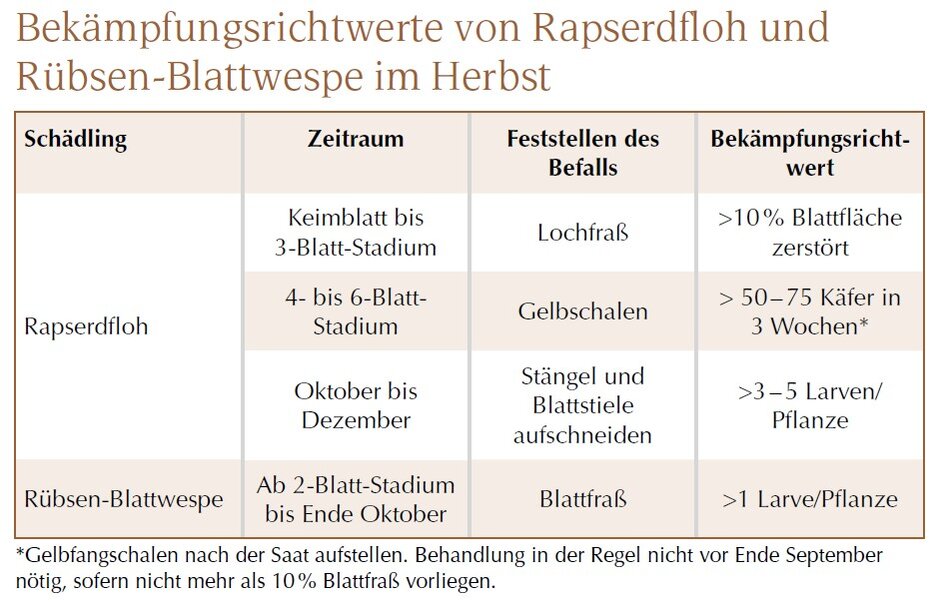 Tabelle Bekämpfungsrichtwerte Rapserdfloh und Rübsen-Blattwespe