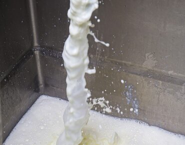 Milch fließt in den Milchtank