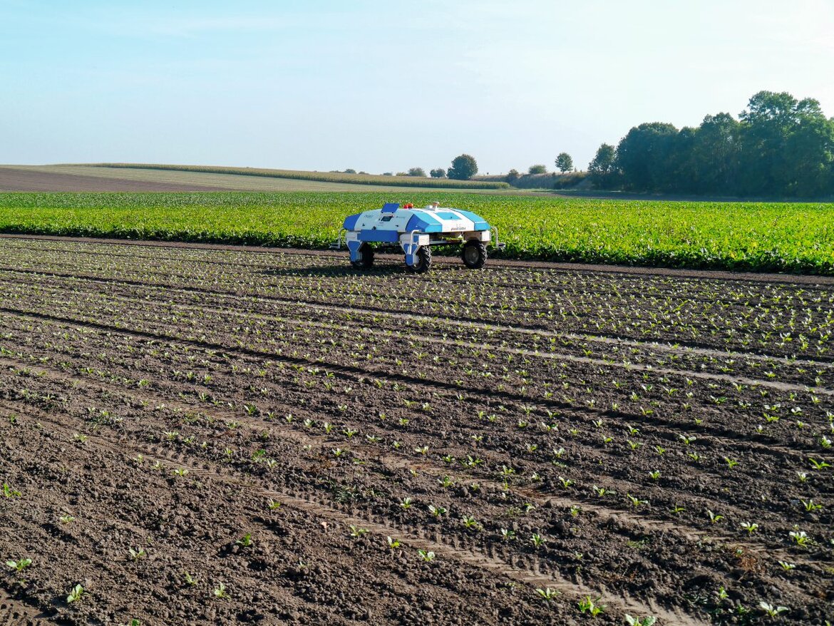 Ein Roboter auf dem Acker