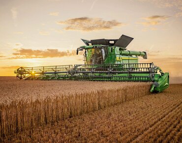 Mähdrescher im Weizenfeld