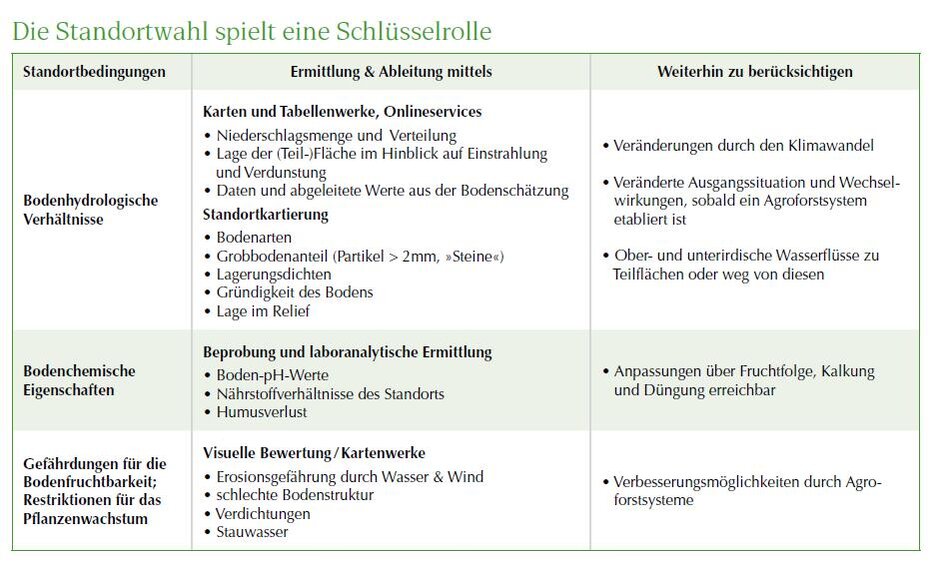 Agroforst