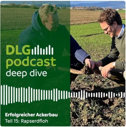 Podcasttitel DLG-Podcast Rapserdfloh