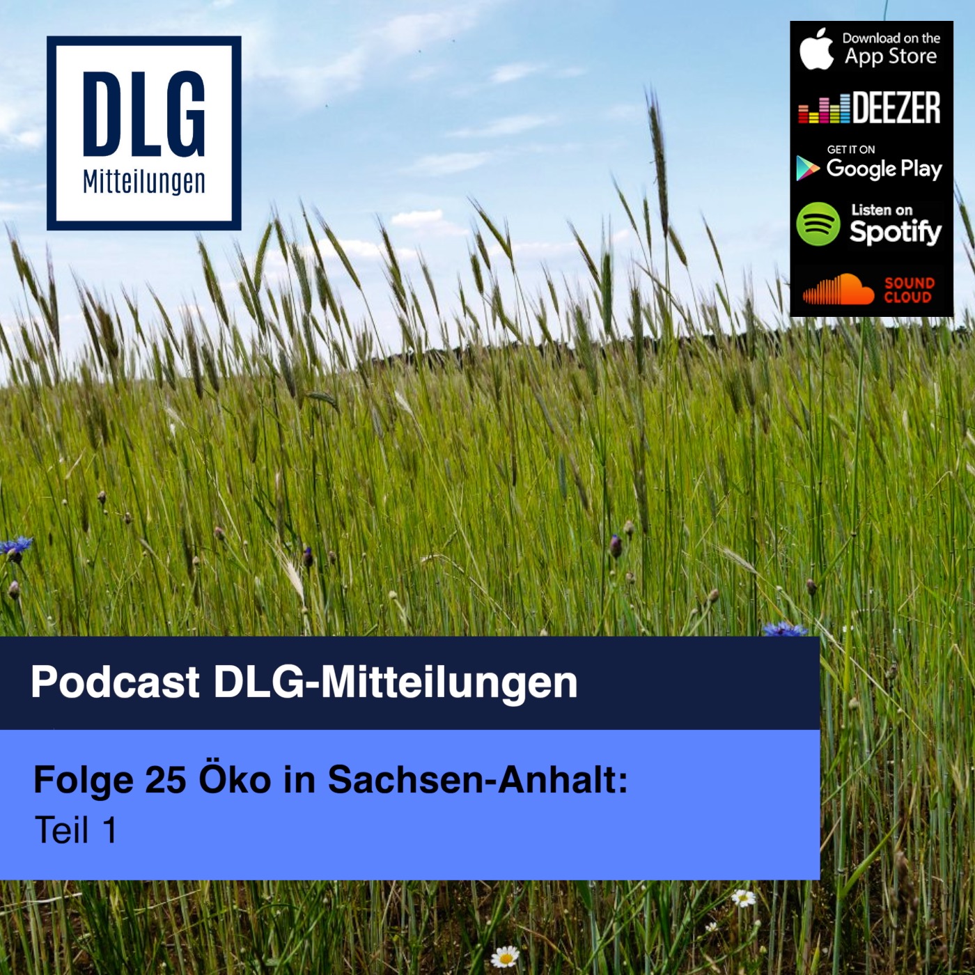 Vorschaubild Podcast Öko in Sachsen-Anhalt